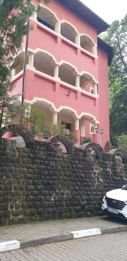 Вілла Casa Rosa Беїле-Оленешті Екстер'єр фото