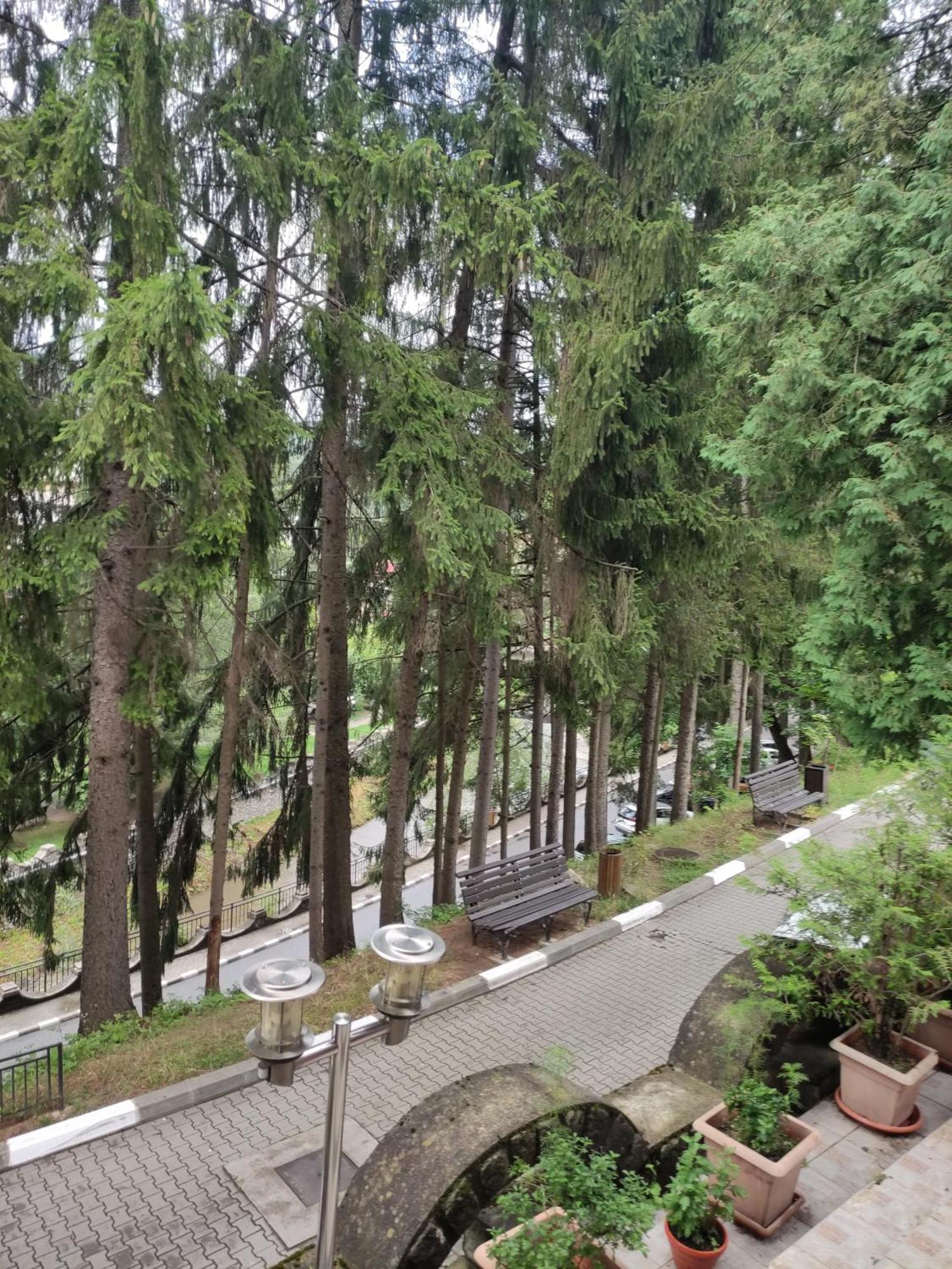 Вілла Casa Rosa Беїле-Оленешті Екстер'єр фото